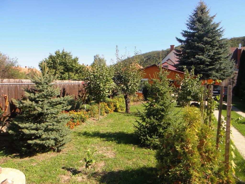 Ginkgo Apartman Demjén Екстериор снимка
